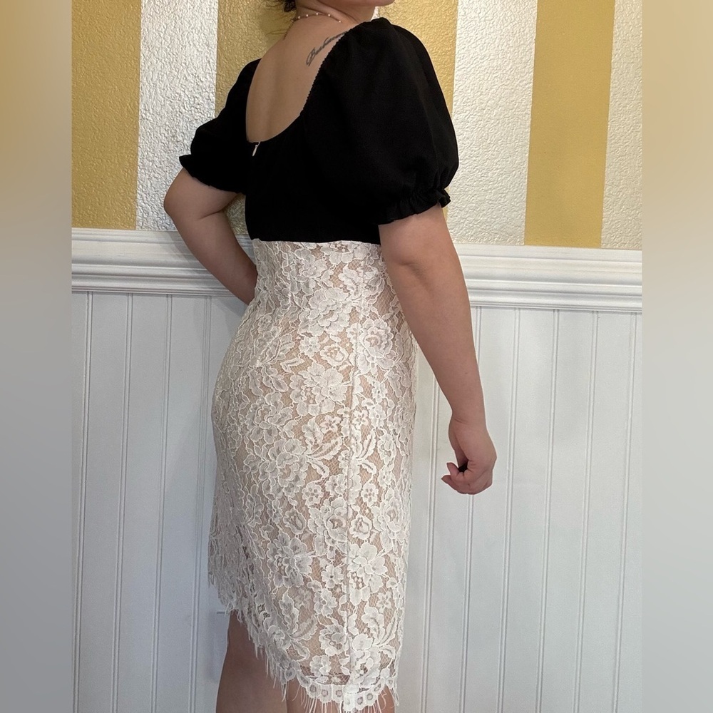 Elegant Lace Dress - Picture 2 of 6